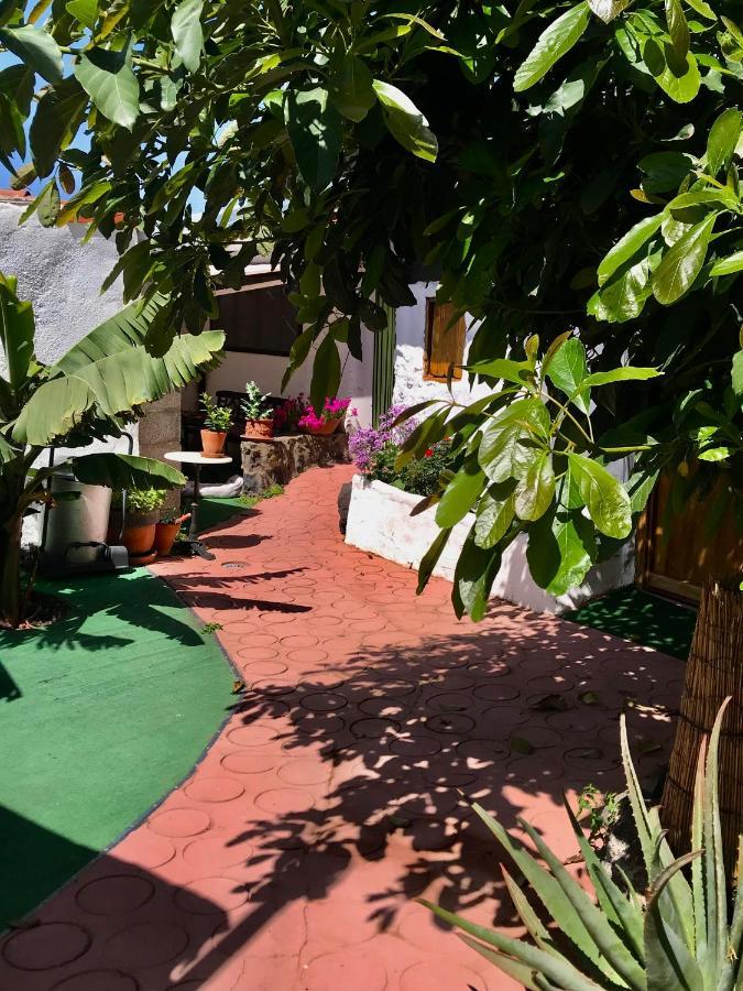 Finca Casa Madera 1 Icod De Los Vinos Eksteriør billede