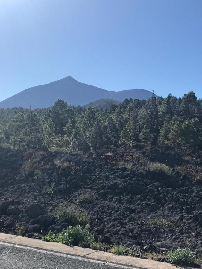 Finca Casa Madera 1 Icod De Los Vinos Eksteriør billede