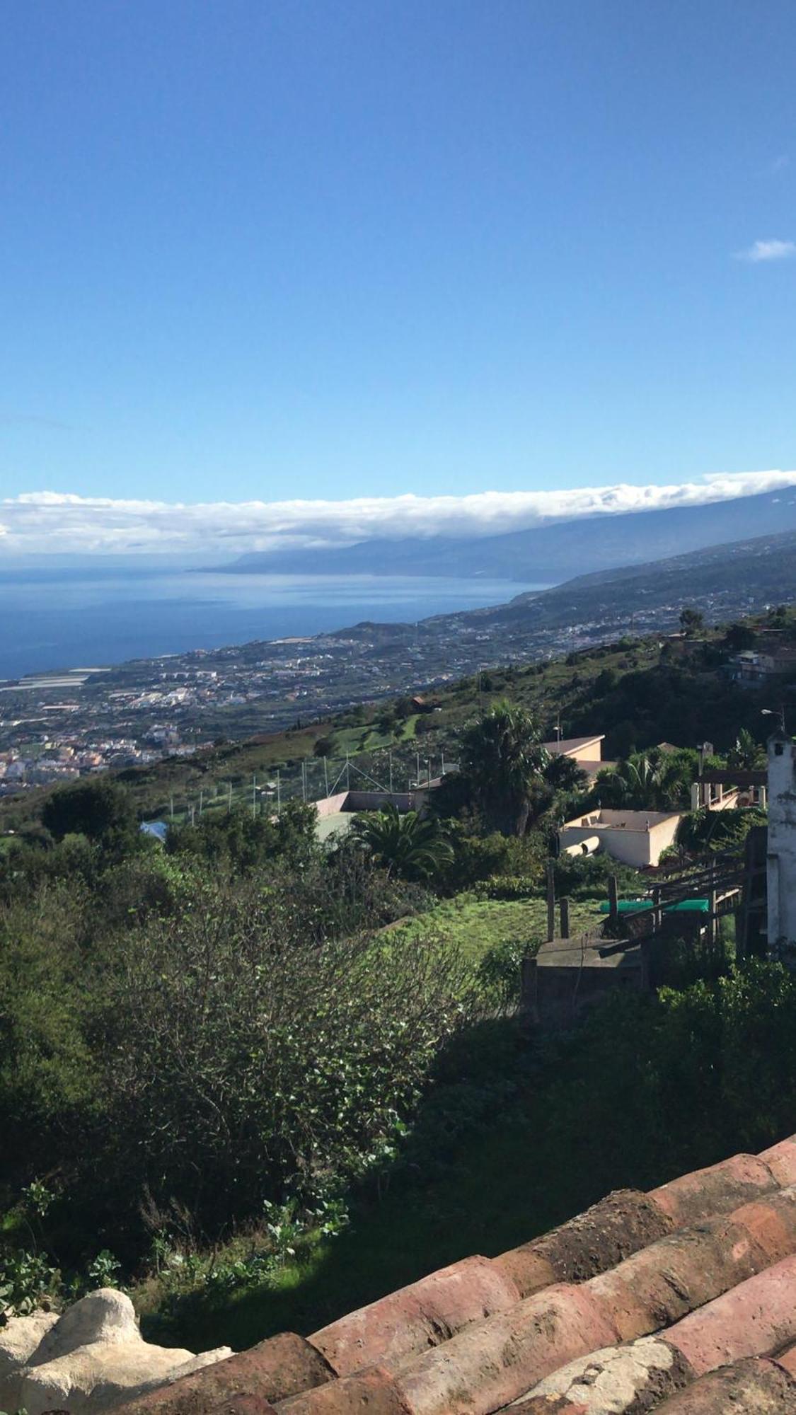 Finca Casa Madera 1 Icod De Los Vinos Eksteriør billede