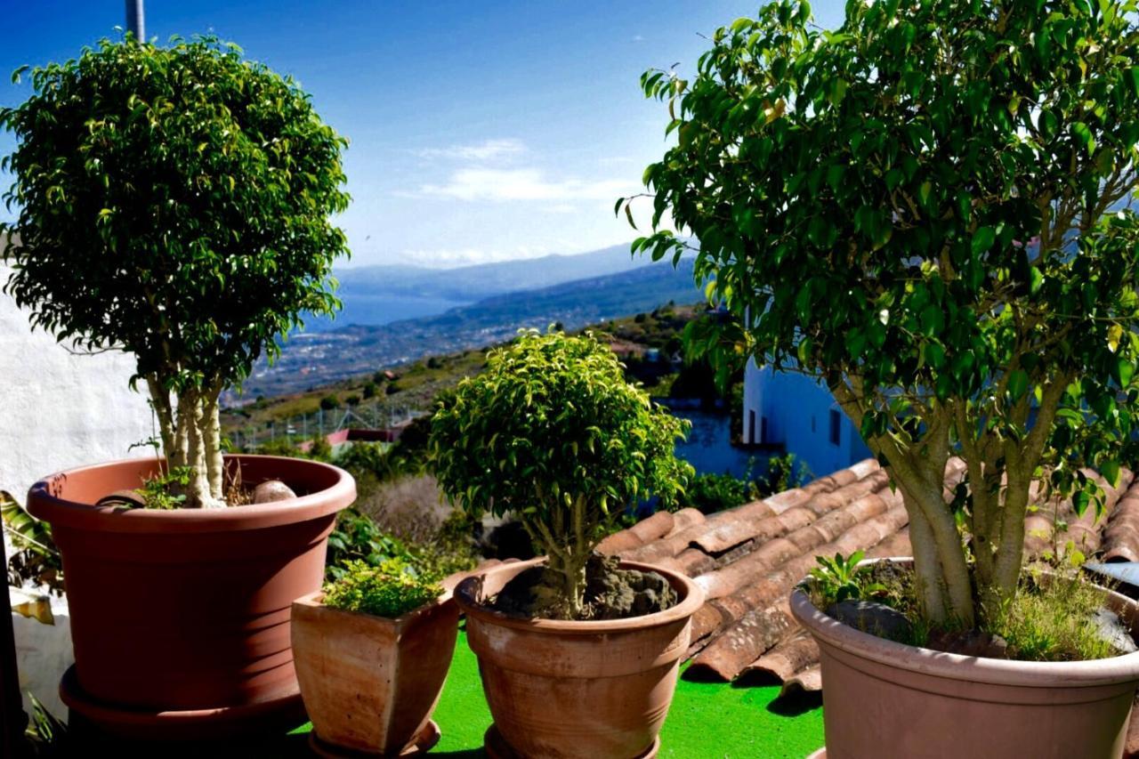 Finca Casa Madera 1 Icod De Los Vinos Eksteriør billede